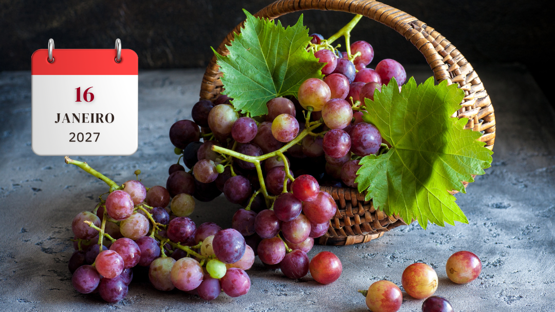 FESTA DA UVA E ROTA DO VINHO EM JUNDIAÍ