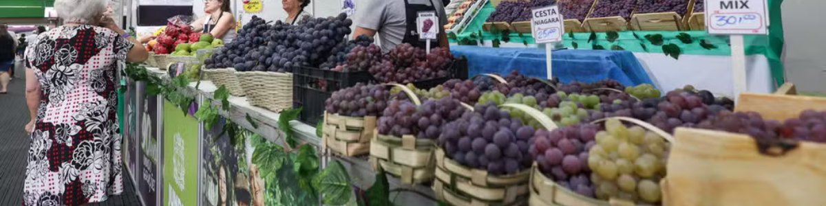 FESTA DA UVA E ROTA DO VINHO