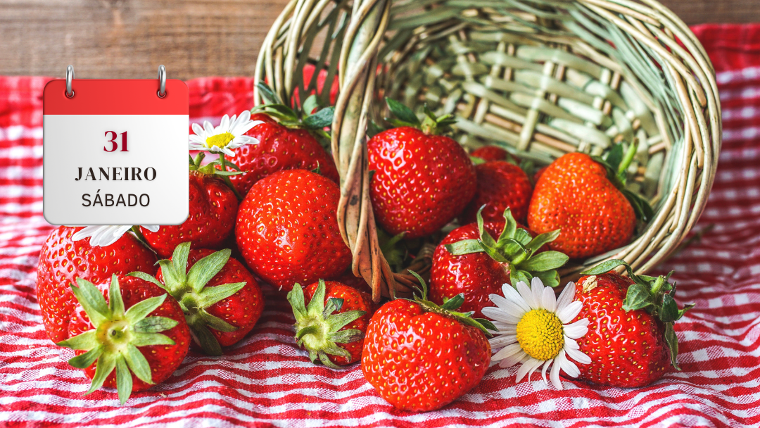 COLHA E PAGUE COM SANTUÁRIO MÃE RAINHA