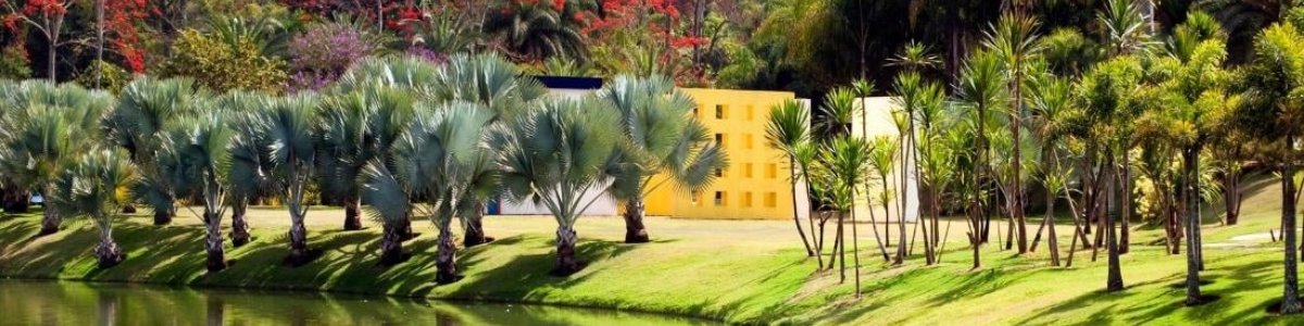 REVEILLON ENCANTOS DE MINAS COM INHOTIM
