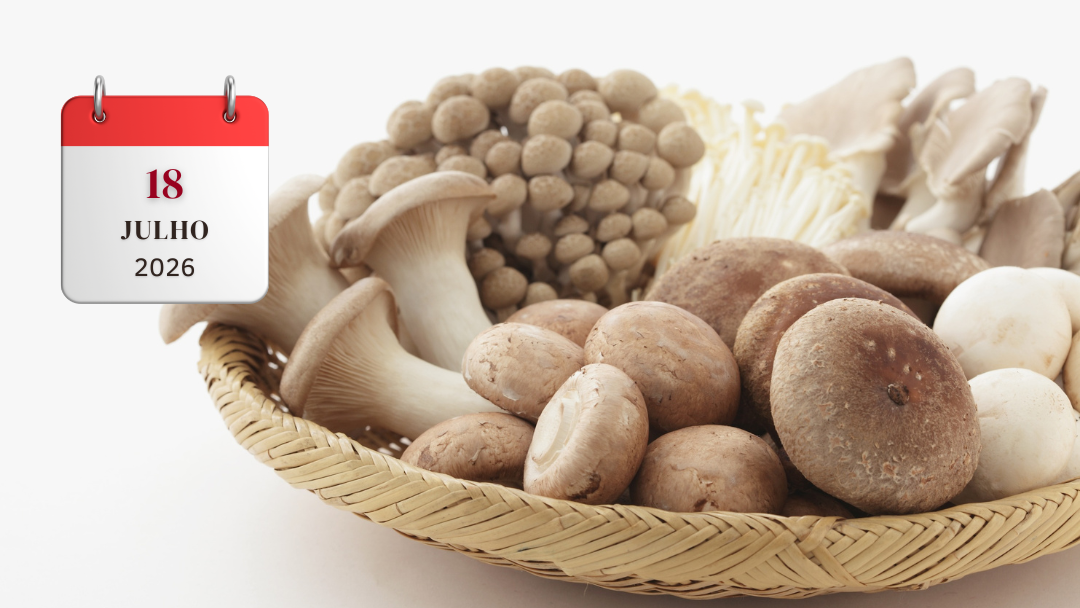 SÍTIO SASSAFRAZ & FAZENDA DE COGUMELO