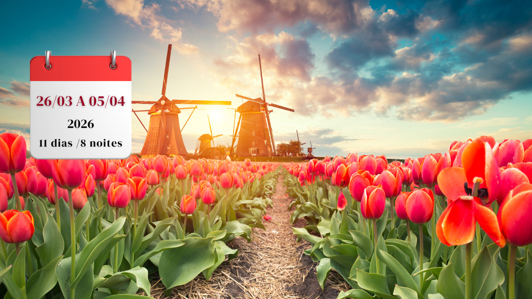 BÉLGICA & HOLANDA: FLORADA DAS TULIPAS