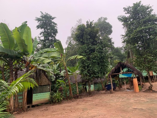 Vivência Yawanawa - Mawa Yuxin