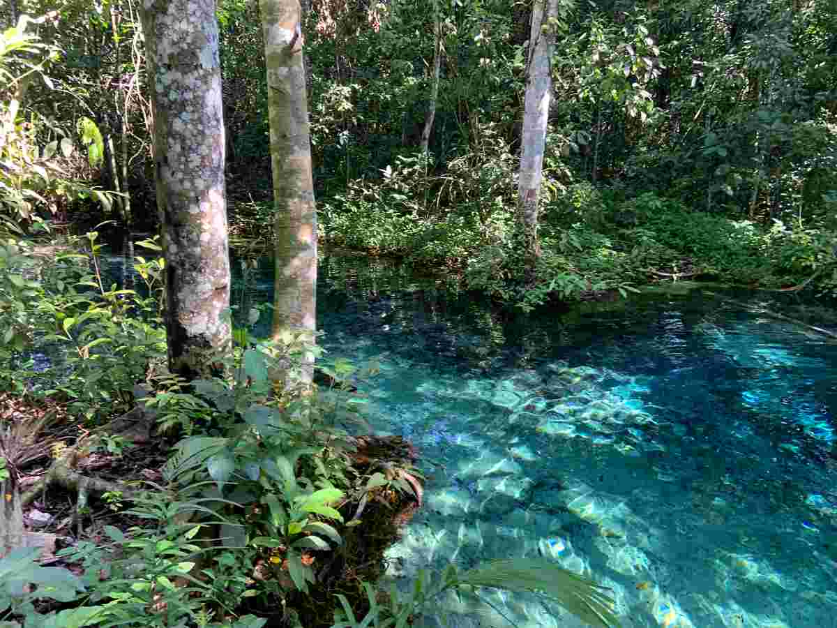 Nobres/MT - 25 a 30/08/2026