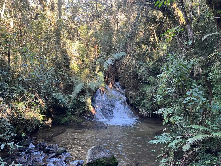 Campos do Jordão