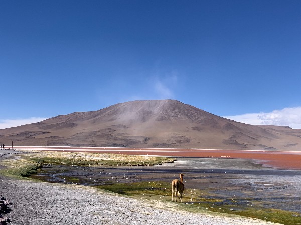 Deserto do Atacama e Salar do Uyuni