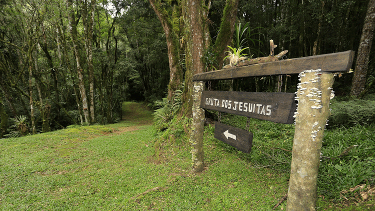 Parque Estadual de Campinhos