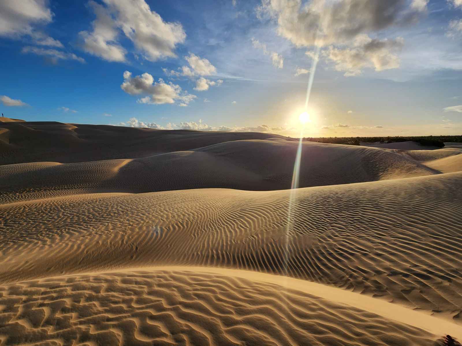 FOZ DO VELHO CHICO + DUNAS DE PIAÇABUÇU