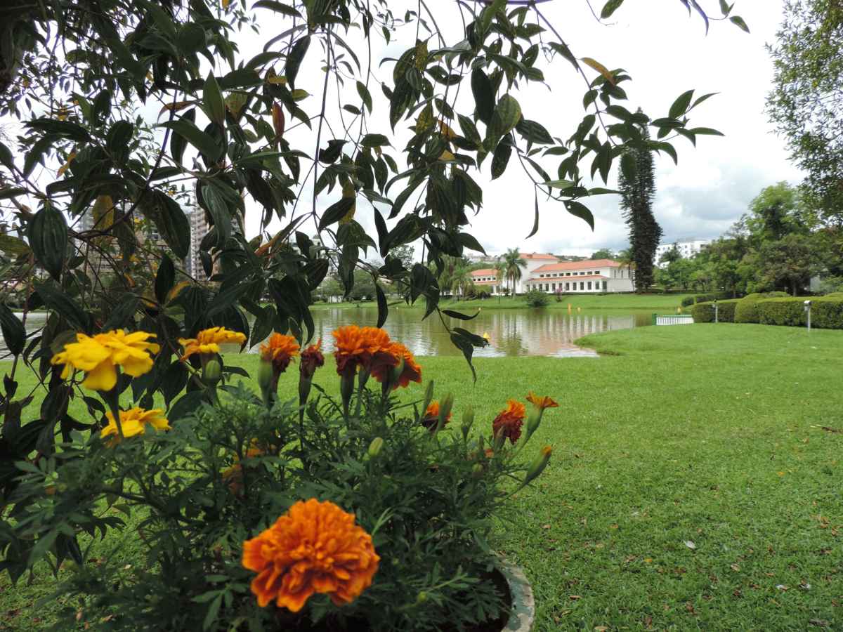 Feira de Poços de Caldas MG